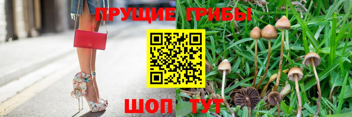 Нерюнгри  Псилоцибиновые грибы MAGIC MUSHROOMS  Псилоцибиновые грибы Magic Shrooms  Вход с VPN 